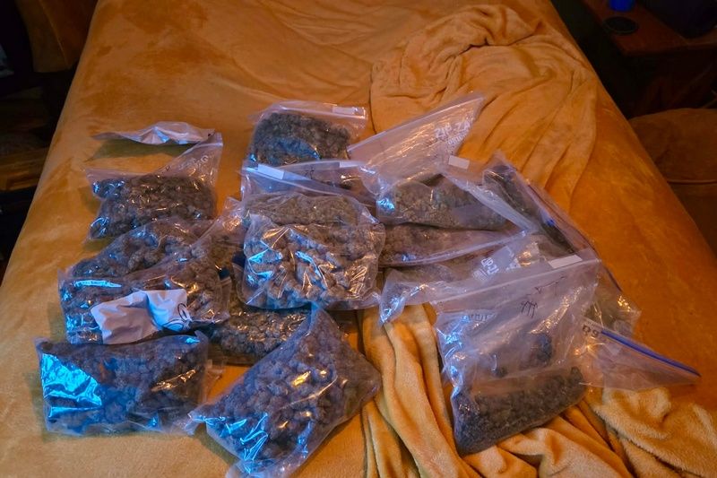 Perquisition à Magog : la police saisit 18 500 $ et plusieurs livres de cannabis